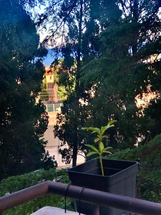Appart Nice Marguerite公寓 外观 照片